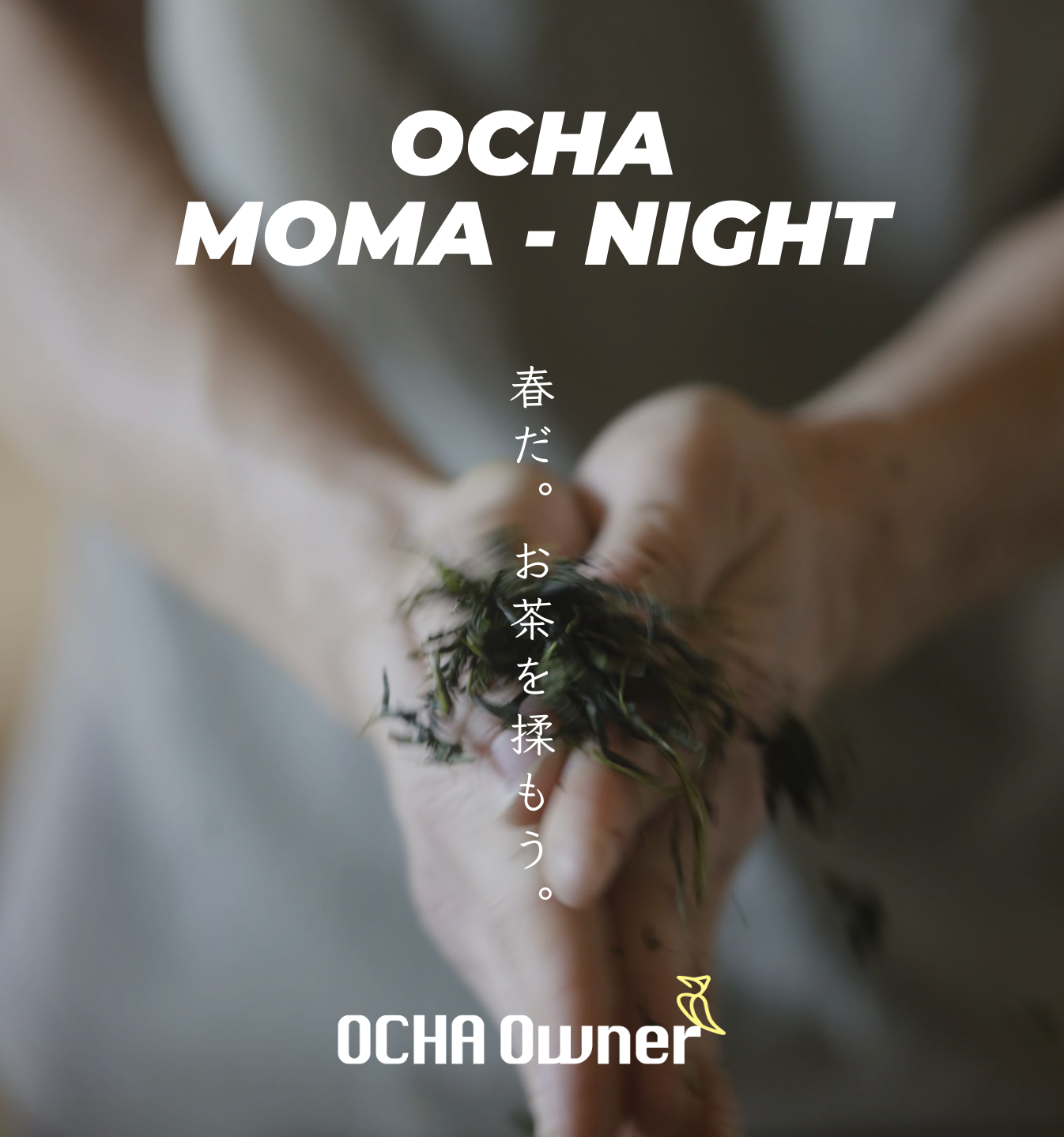 OCHA MOMA-NIGHT
