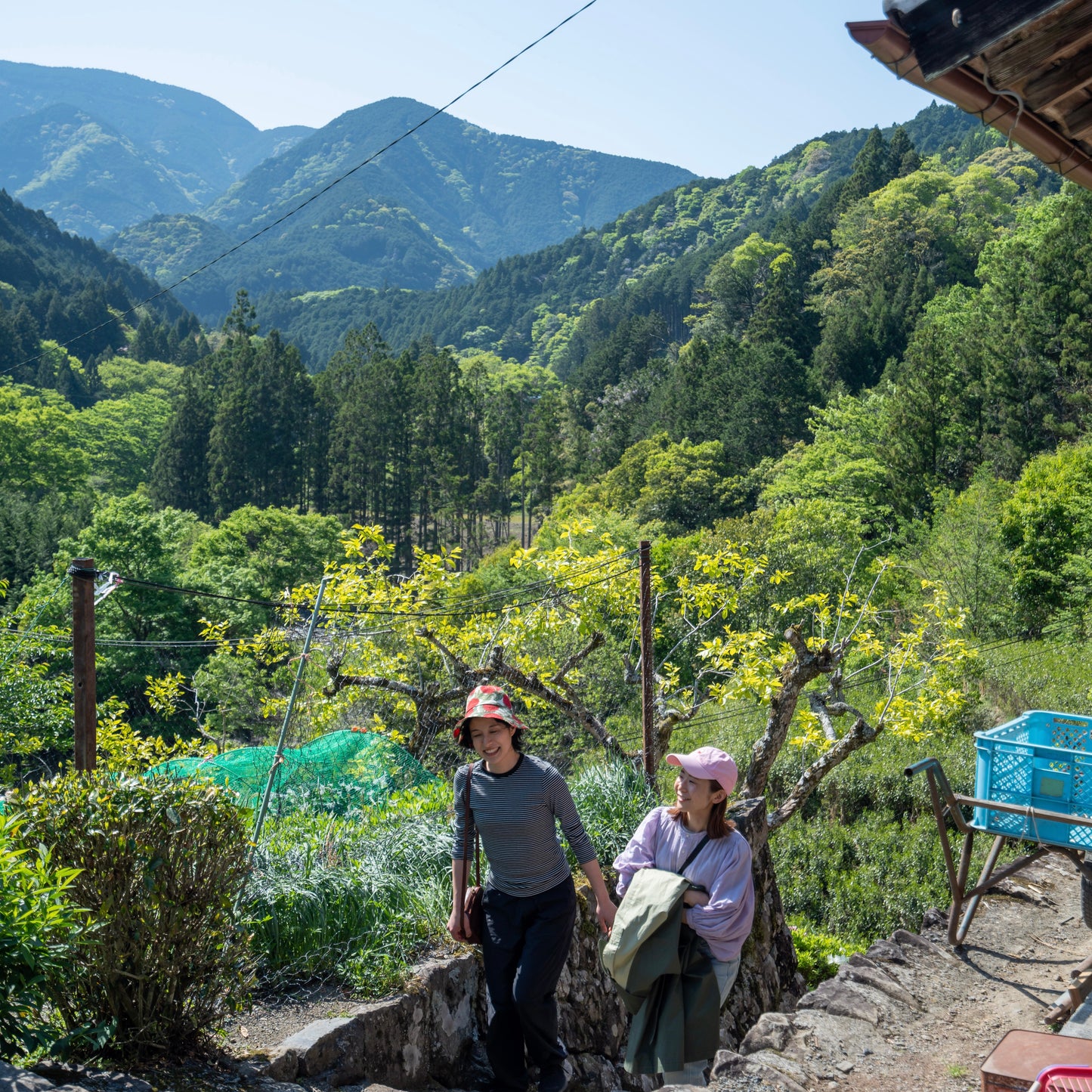 TAMAKAWA OCHA Owner