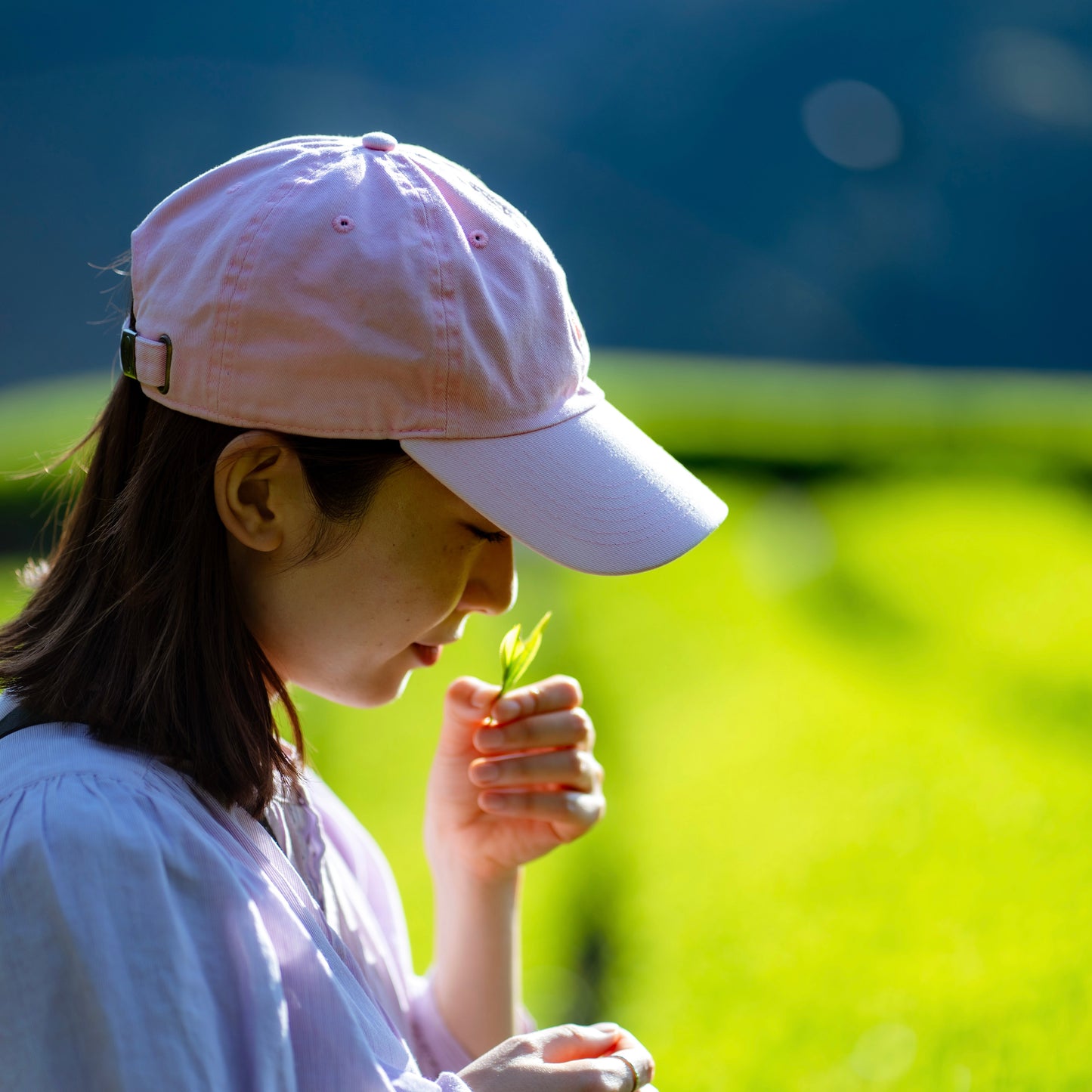TAMAKAWA OCHA Owner