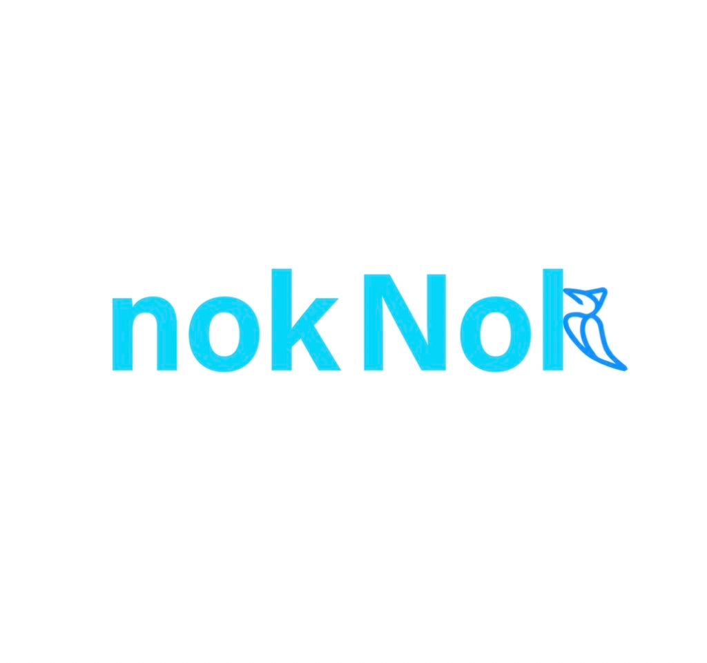 OCHA Owner 2025 – nokNok