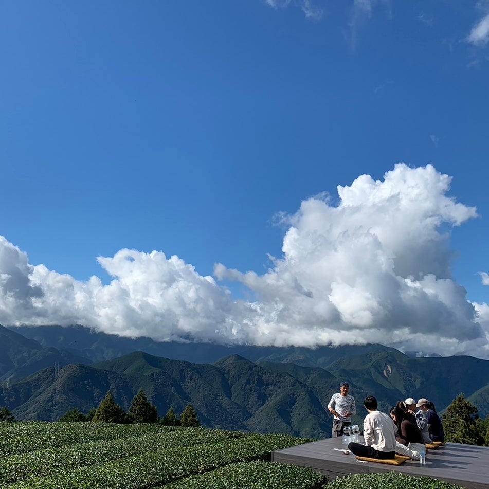 【2025一番茶】牛妻