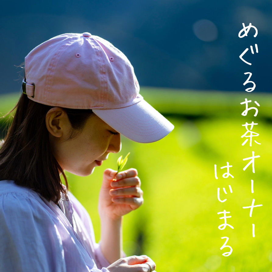2026年度】めぐるお茶オーナーパス – nokNok