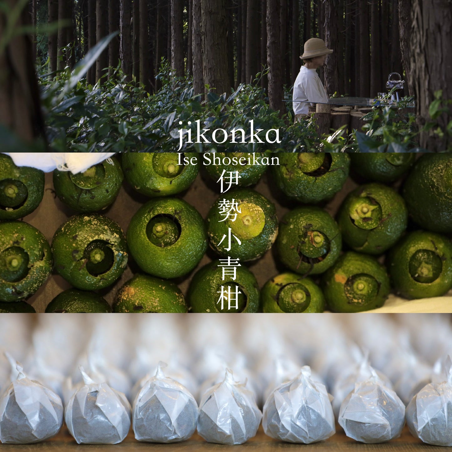 《数量限定》伊勢小青柑