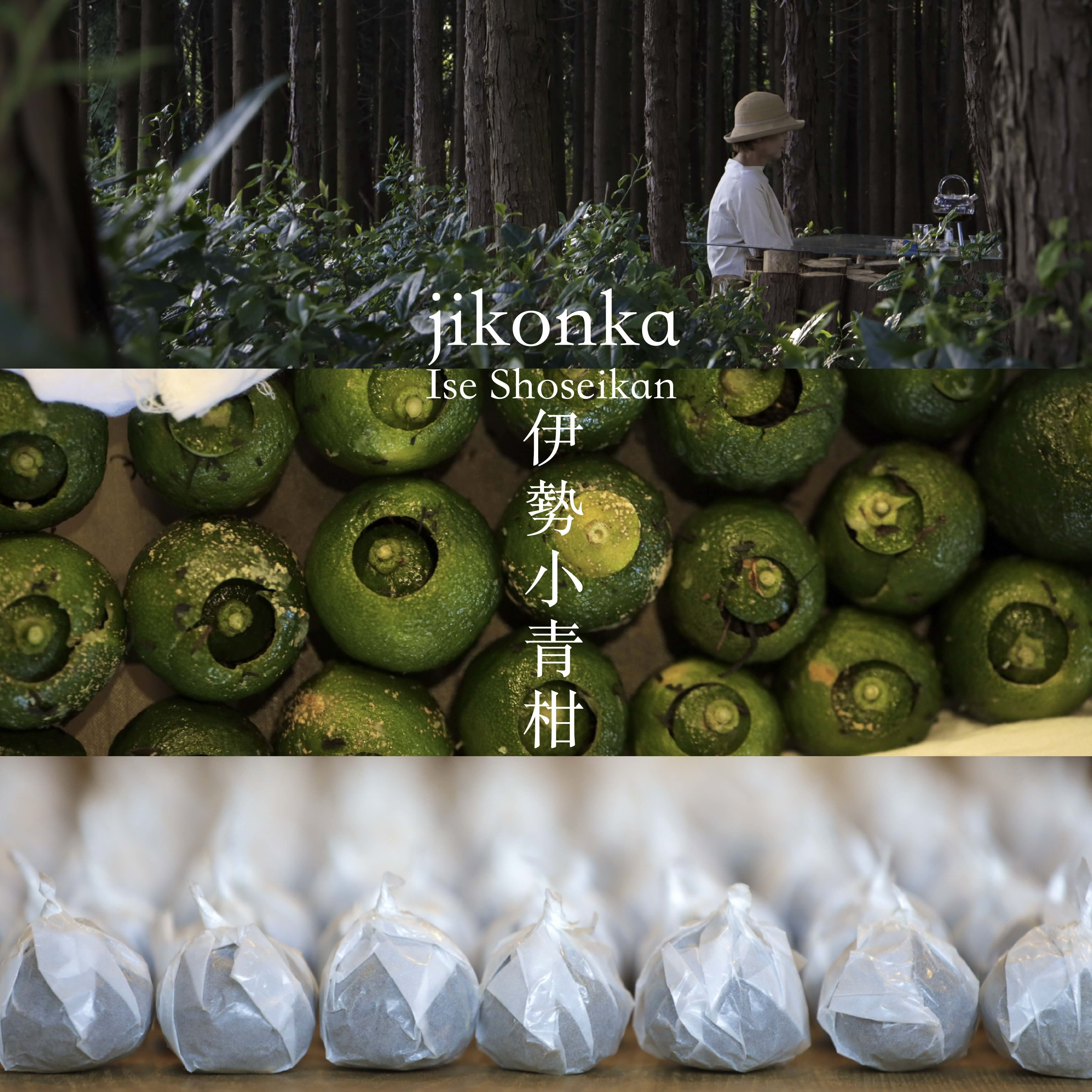 nokNokノックノック 新たなトチを訪れる ヒトに想いを馳せる 届くのが