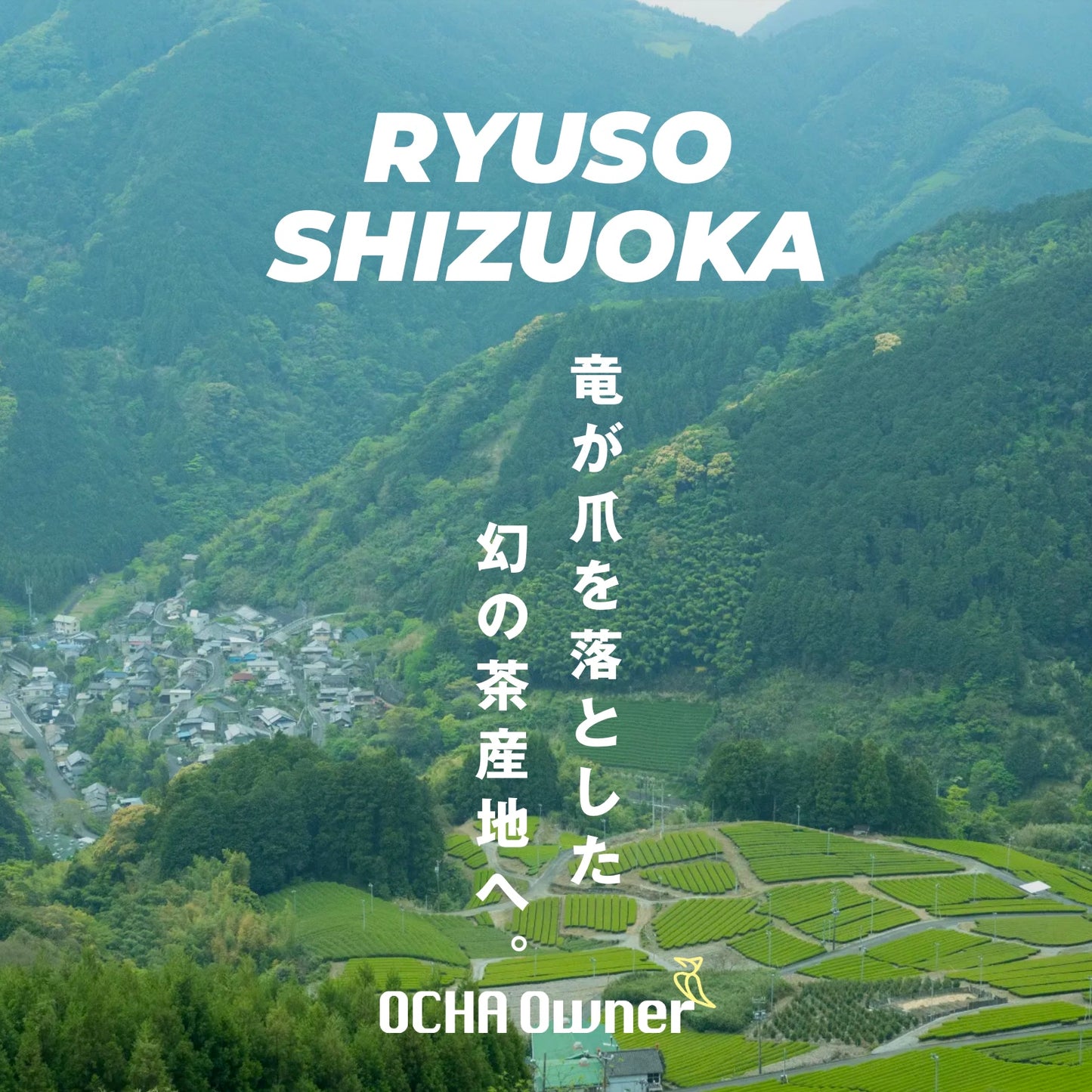 nokNok 茶農家・茶風景コレクション（選べる全10種）