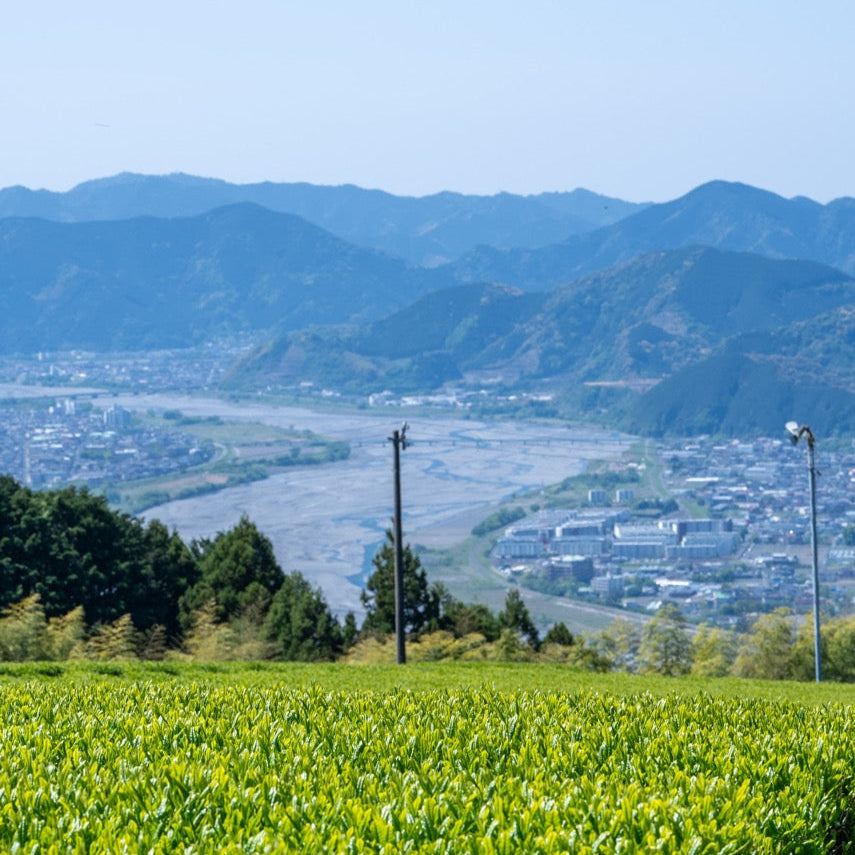 和紅茶（牛妻・玉川）