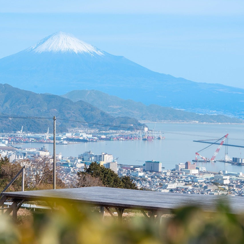 【2026一番茶】日本平・静7132煎茶