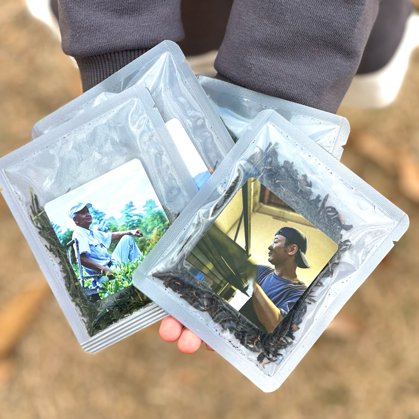 nokNok 茶農家・茶風景コレクション（選べる全10種）