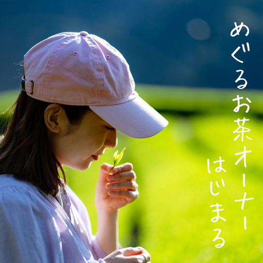 【2026年度】めぐるお茶オーナーパス
